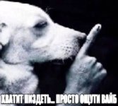 43c59d837ad3d96c09639c7b35c3eac9.jpg