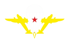 vdv-Photoroom.png