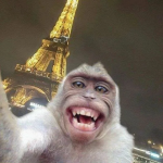 1780414201037.png