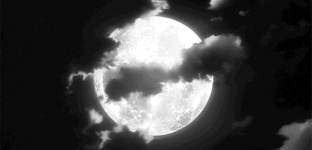 IMG_0063.gif