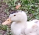 w09ZCeAq9lfg66fj3eUGnBcW6yMCQv6lLn3hMFFvjCxkgRrGm2F0Gc6wbHXFnD1BHCBHm04afy5xx-AcEkiTsp1m (1).jpg