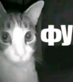 1788634883804.png