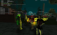 gallery29.jpg