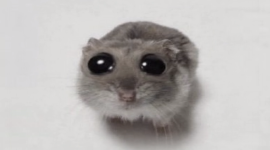 1754677475816.png