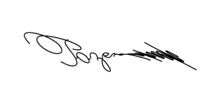 Без названия-no-bg-preview (carve.photos).png