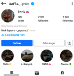 instagram_profile_generator_mockup (1).png