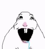 1000028400.png