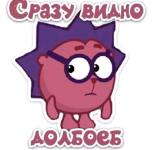 1000028541.png