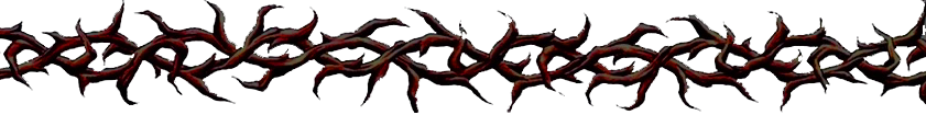 25791-84970369125e1365a31659437602f679.png