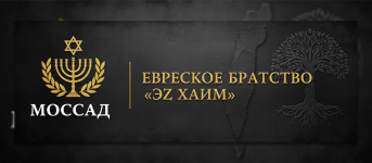 1769204878192.png 1769204878192.png