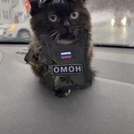 Egor_Gekej