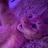 Mike_Milton