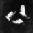 John_McTavish